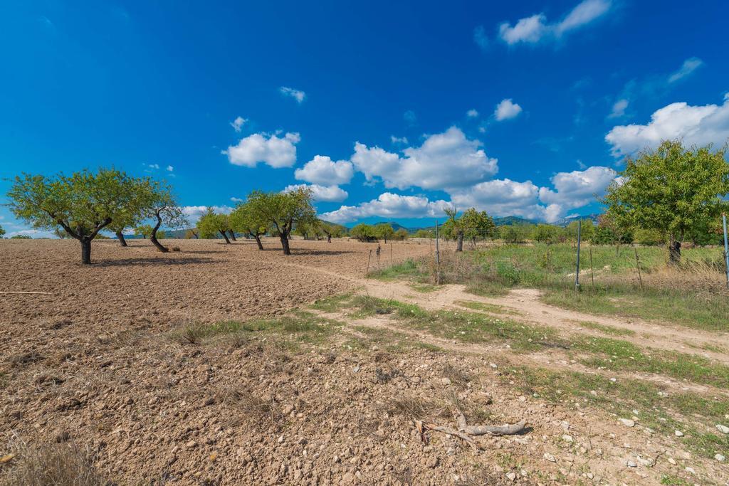 Granja Villa อินคา ภายนอก รูปภาพ
